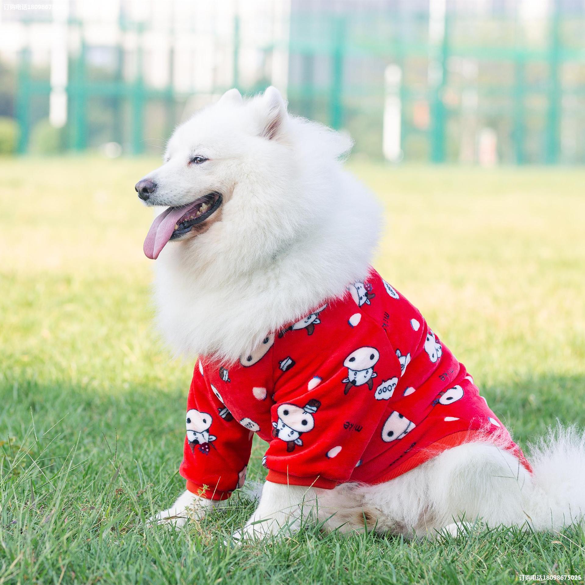 Fashion Pet Transformation Dress Outfit Clothing