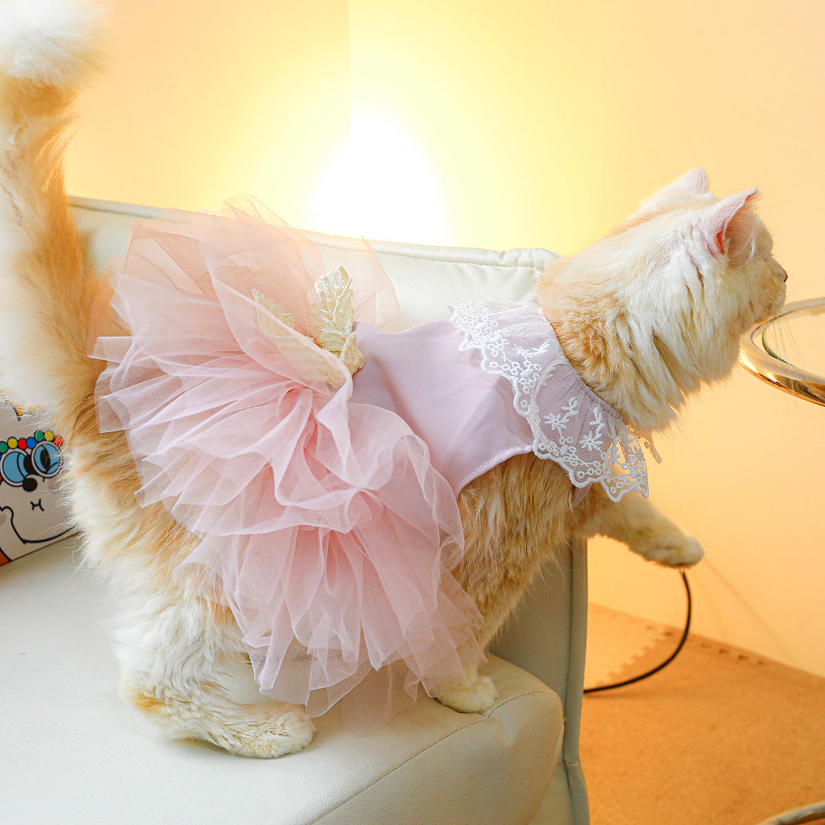 Lace Pet Clothing Elegant Outfit