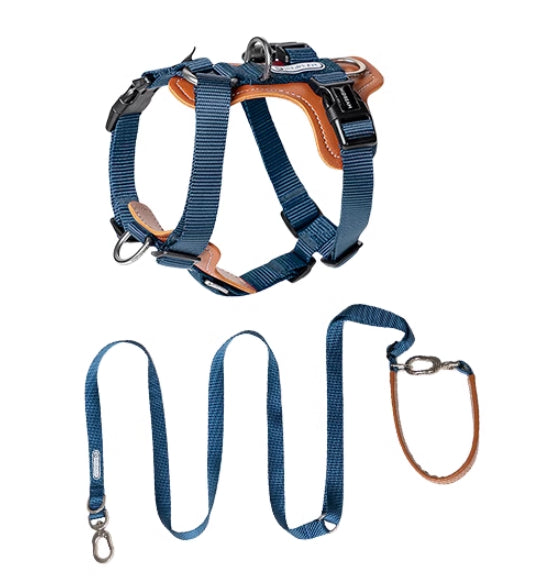 Multifunctional Explosion Proof Pet Chest Strap Rope Leash