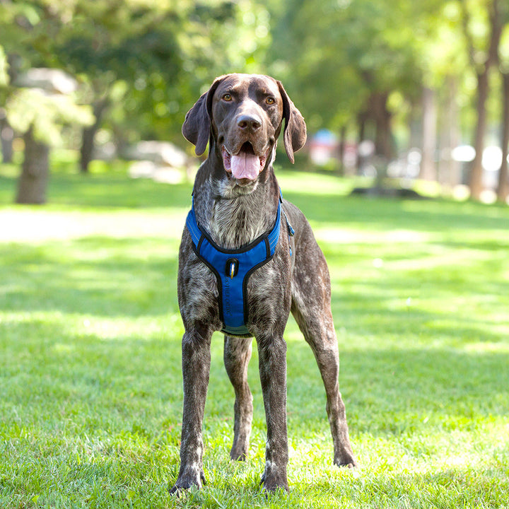 Reflective Breathable Pet Rope Vest Type Leash Supplies
