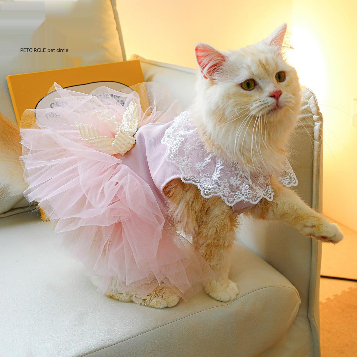 Lace Pet Clothing Elegant Outfit