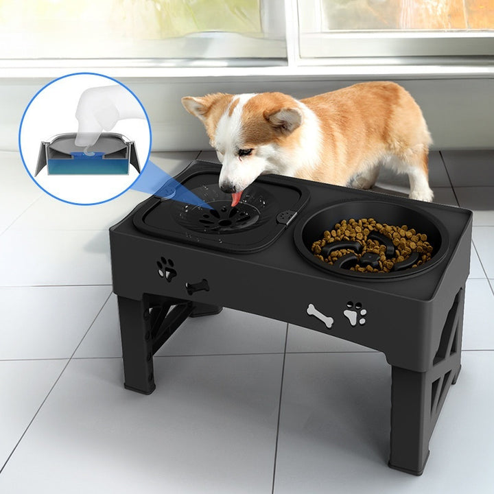 Stainless Steel Double Pet Feeding Bowl Elevated Stand