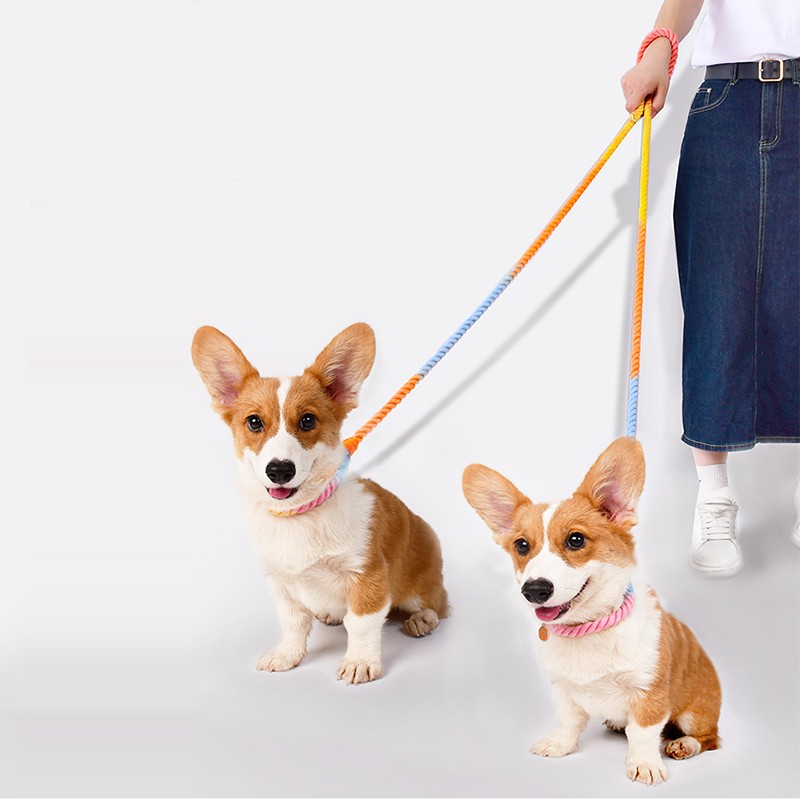 Multi Functional Dual Head Pet Rope Leash Supplies