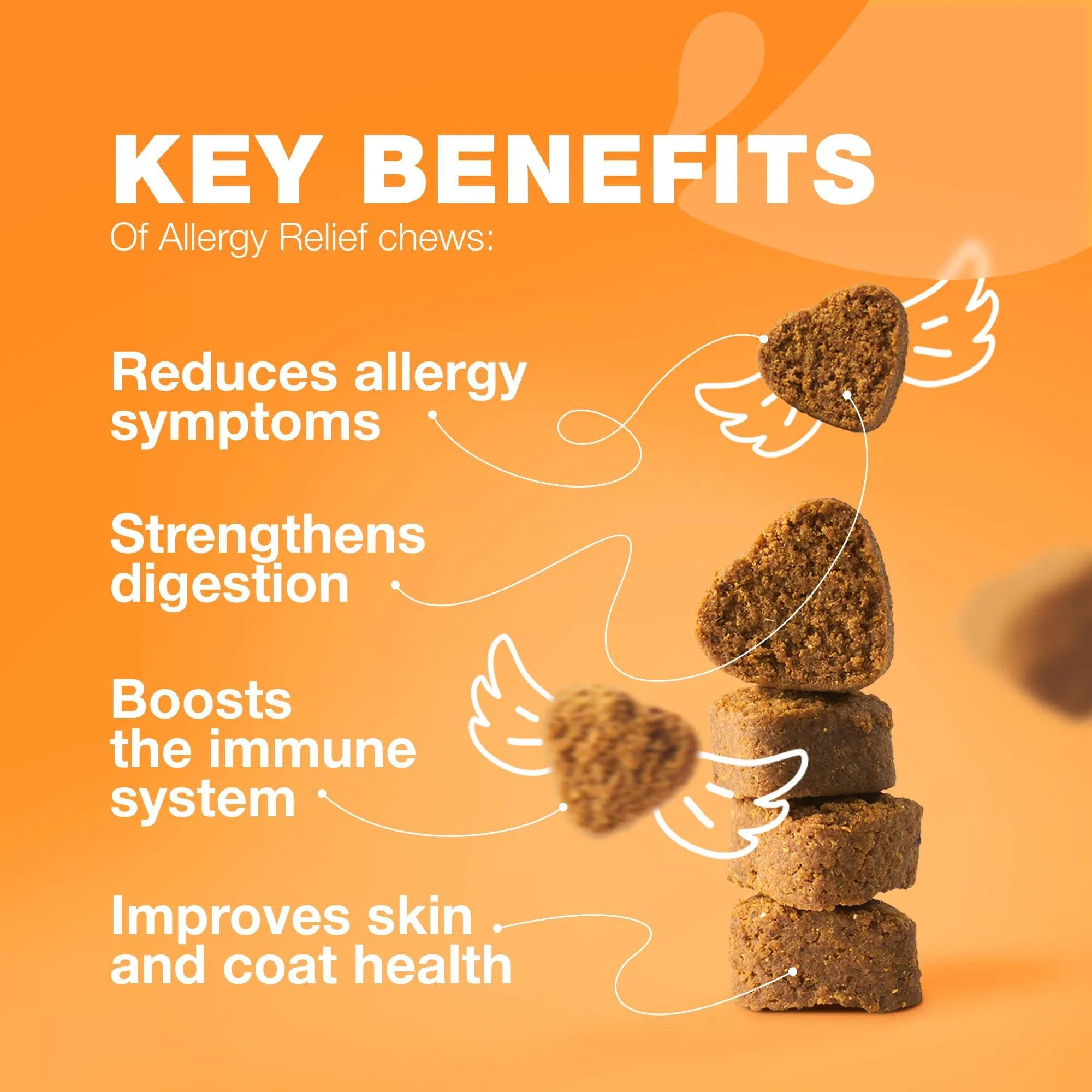 Allergy Relief Chews Itch & Skin Support Treats