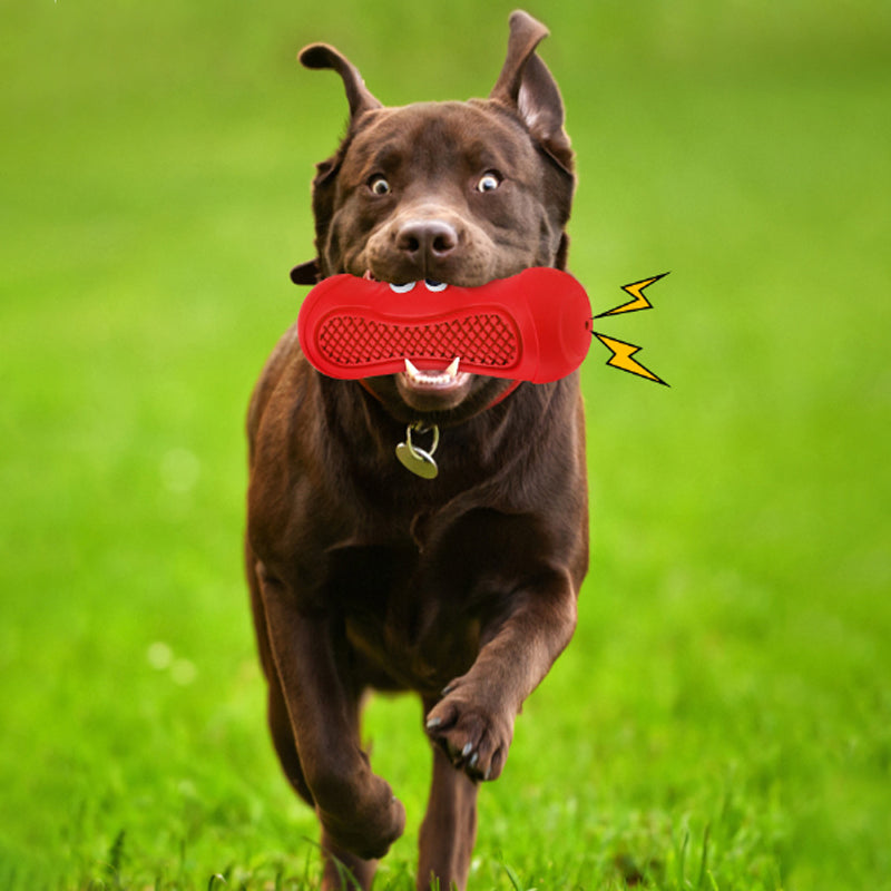 Vocal Pet Chew Toy Durable Rubber Teething Bite Resistant