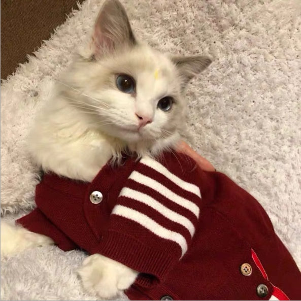 Pet Clothes Comfortable Outfit For Everyday Wear