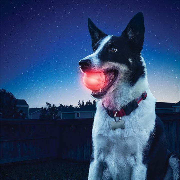 Pet LED Glowing Bite Resistant Ball Toy