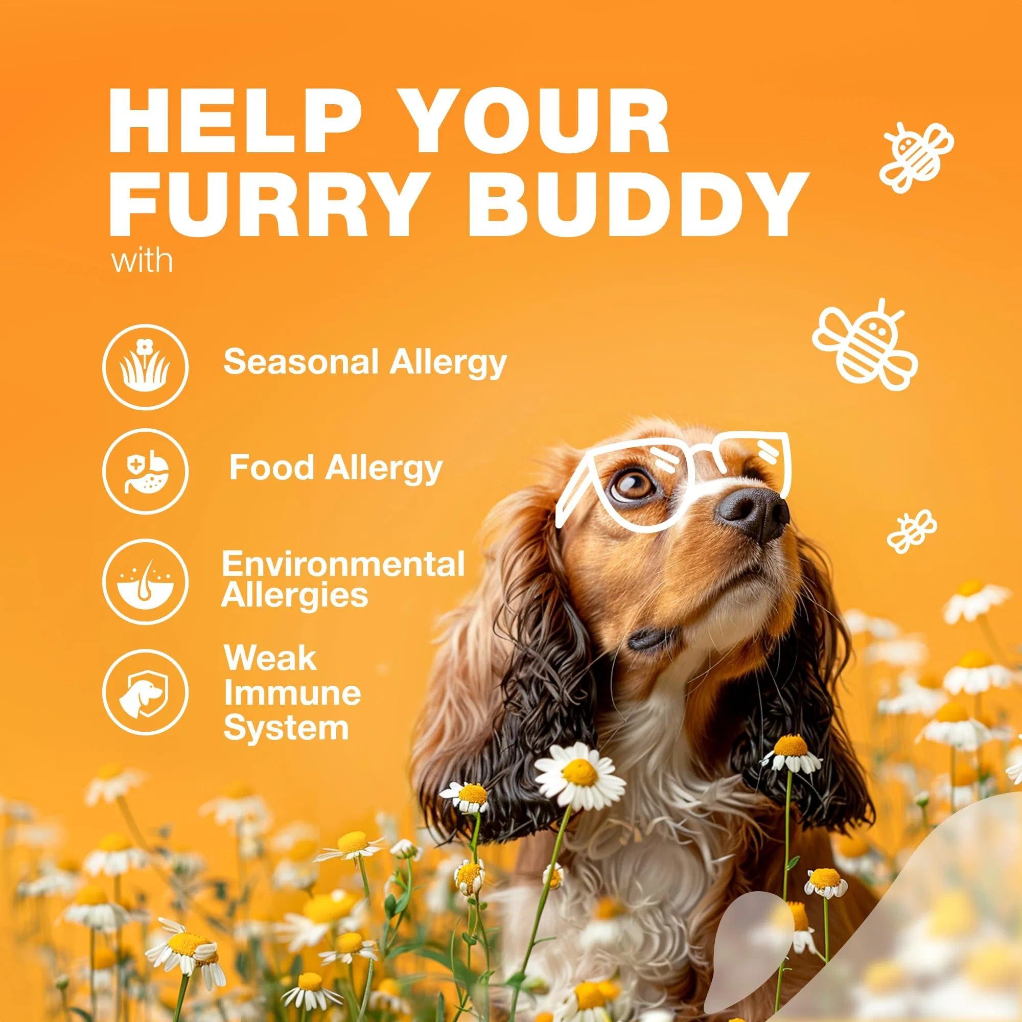 Allergy Relief Chews Itch & Skin Support Treats
