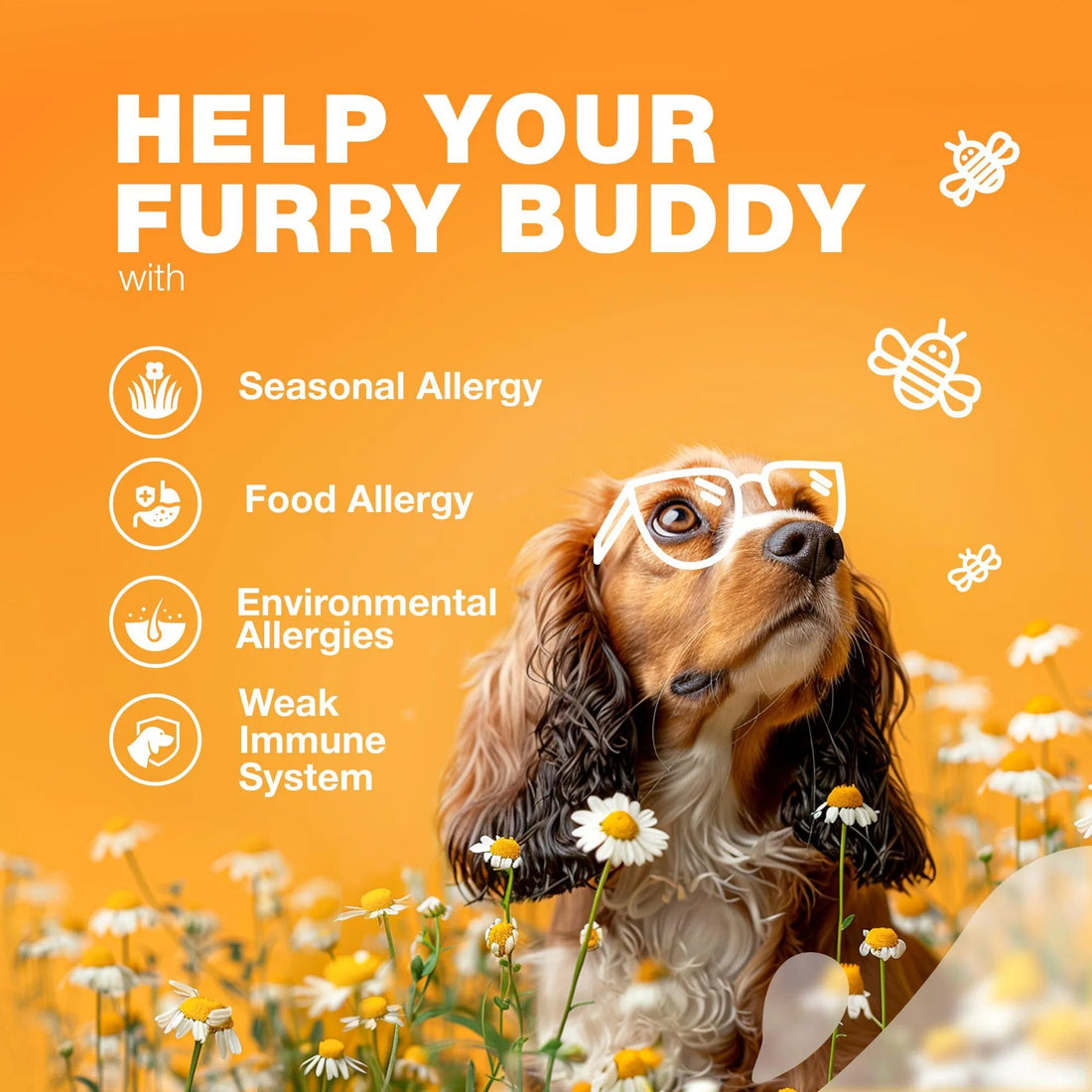 Allergy Relief Chews Itch & Skin Support Treats