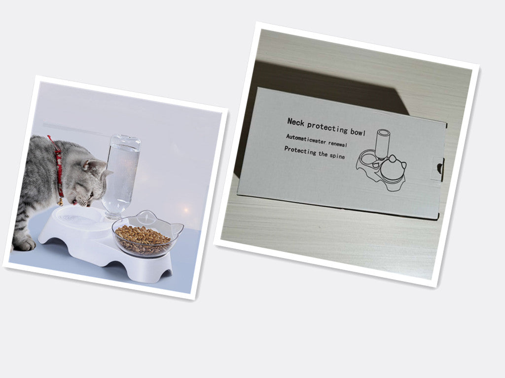 Pet Feeding Bowl Elevated Feeder