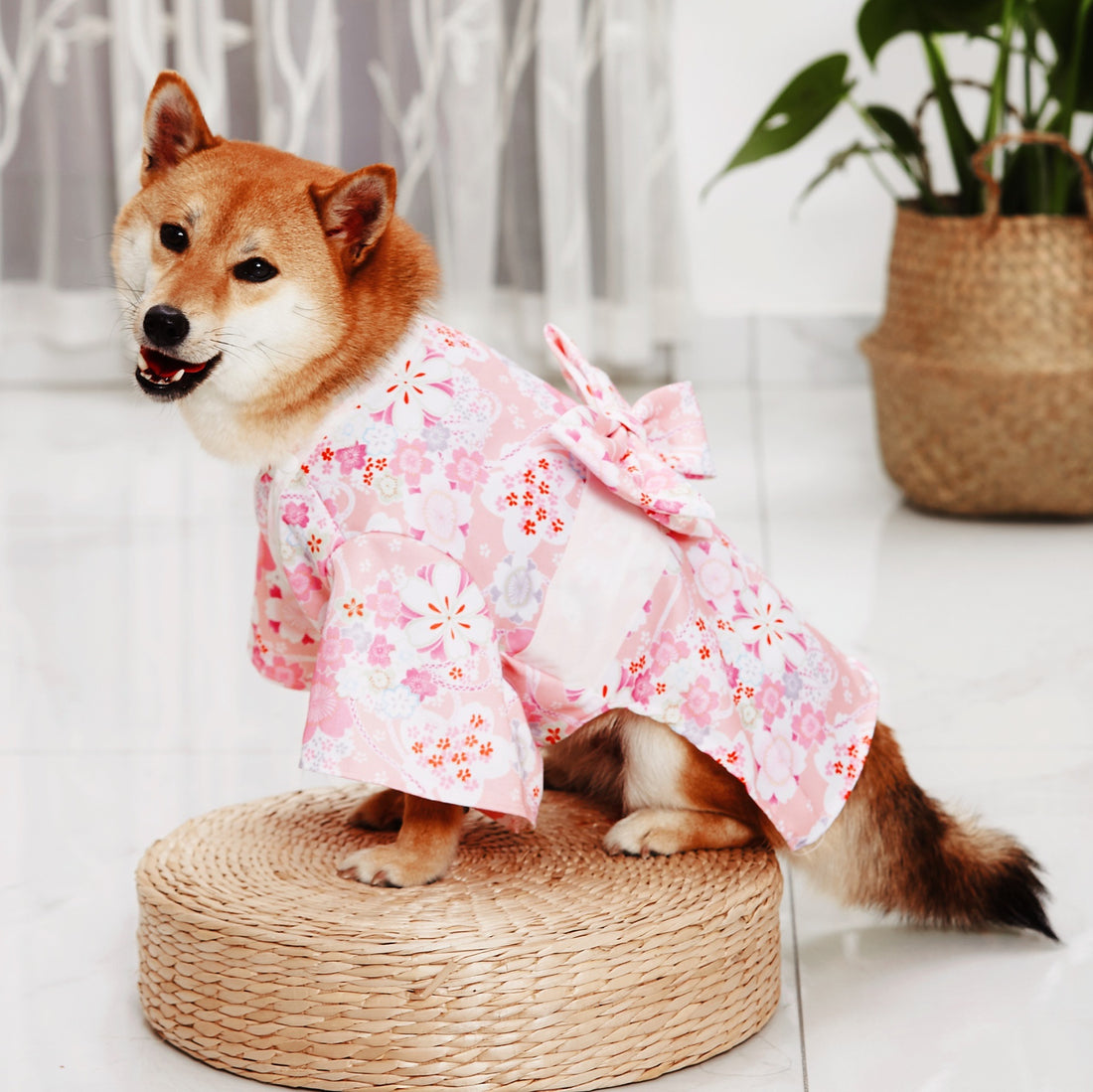Fashion Kimono Style Pet Decorative Outfit Clothing
