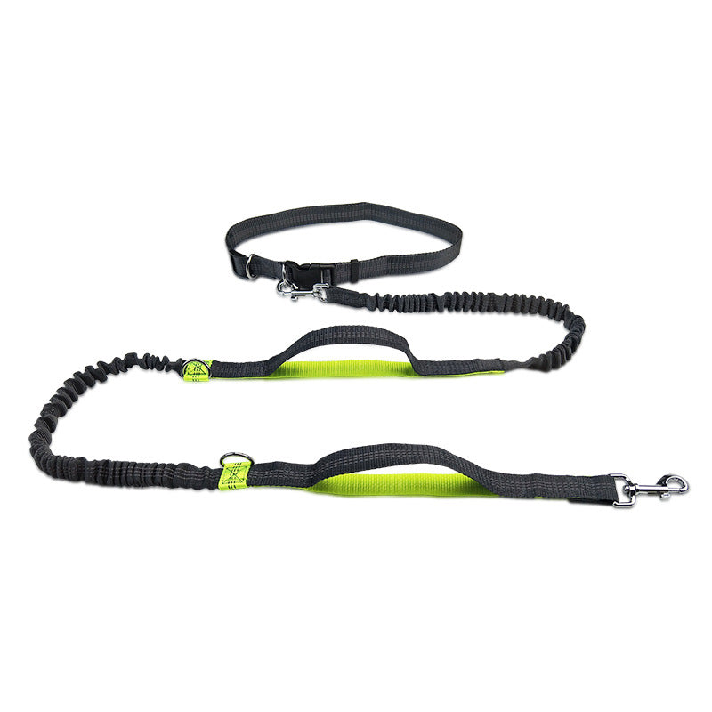 Multifunctional Reflective Double Telescopic Pet Running Leash Rope Lead