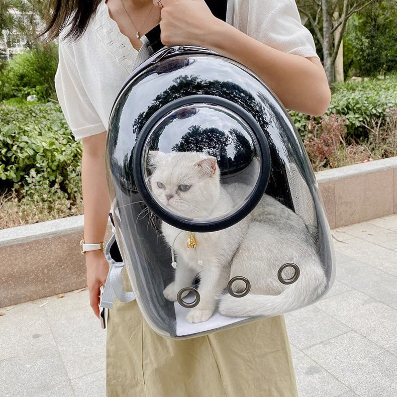 Transparent Skylight Pet Backpack Breathable Large Capacity Carrier