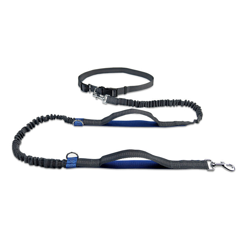 Multifunctional Reflective Double Telescopic Pet Running Leash Rope Lead