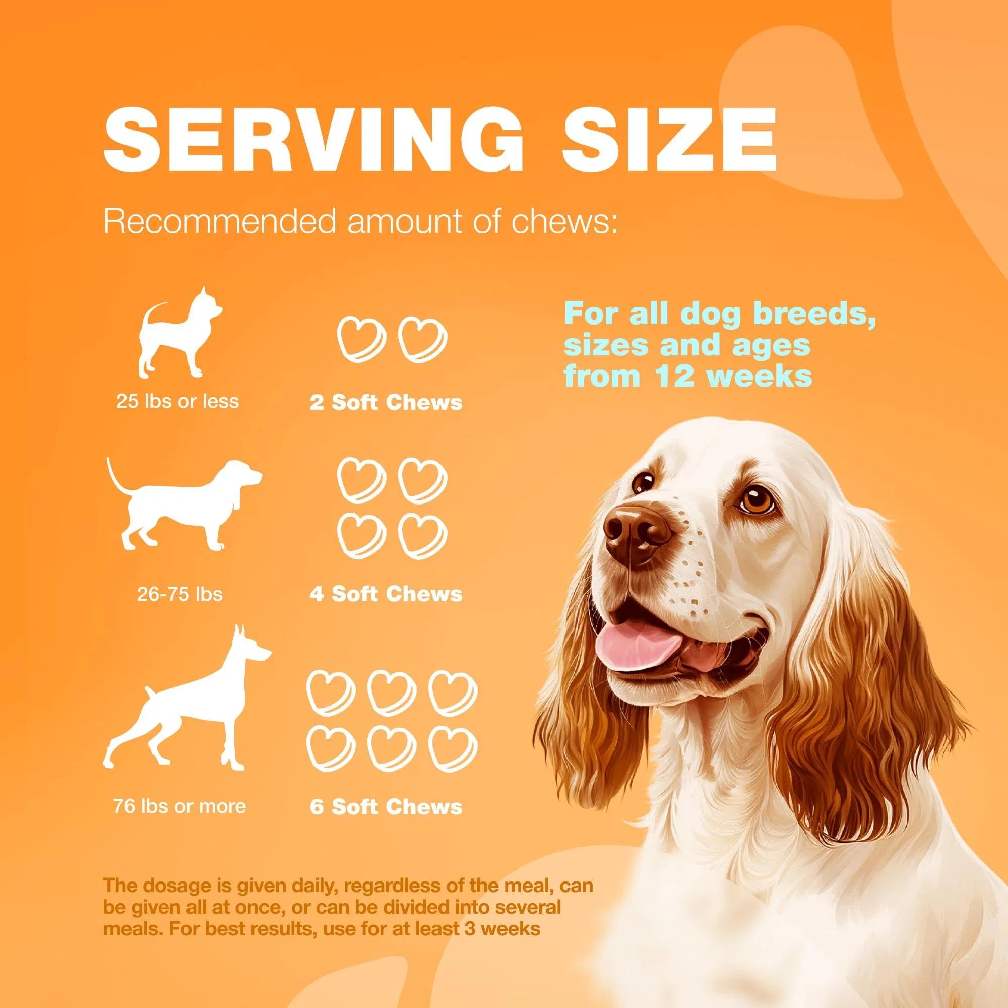 Allergy Relief Chews Itch & Skin Support Treats