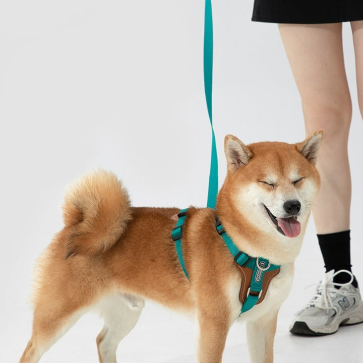 Multifunctional Explosion Proof Pet Chest Strap Rope Leash