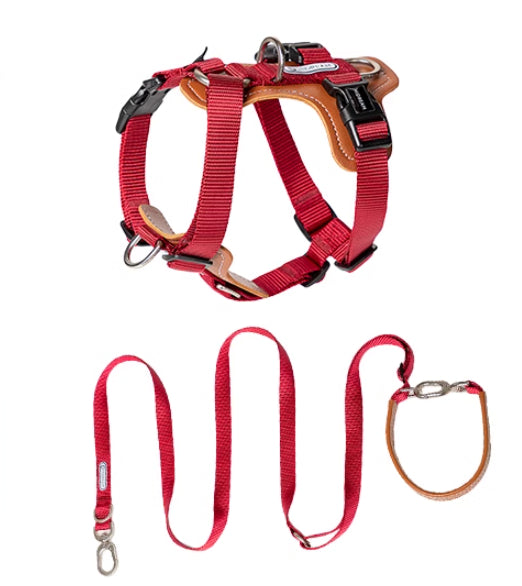 Multifunctional Explosion Proof Pet Chest Strap Rope Leash