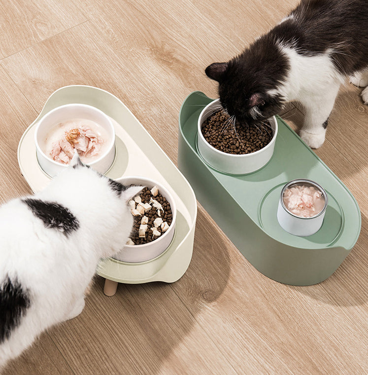 Tilted Double Pet Feeding Bowl Adjustable Spill-Proof Stand