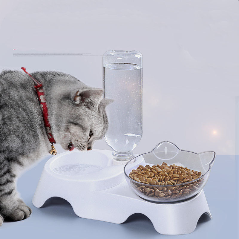 Pet Feeding Bowl Elevated Feeder