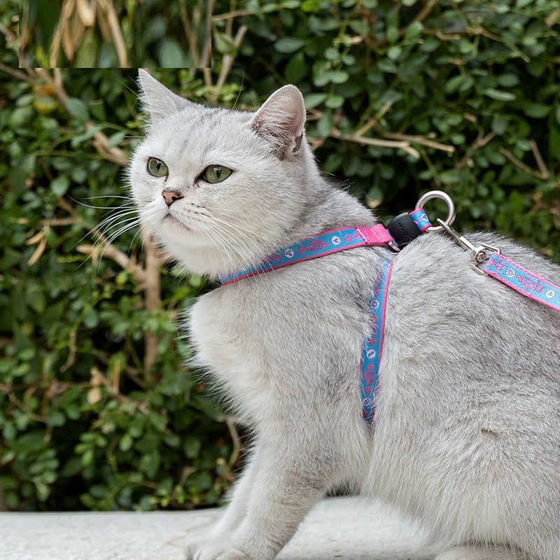 Pet Bell Chest Strap Haulage Rope Vest Leash Set