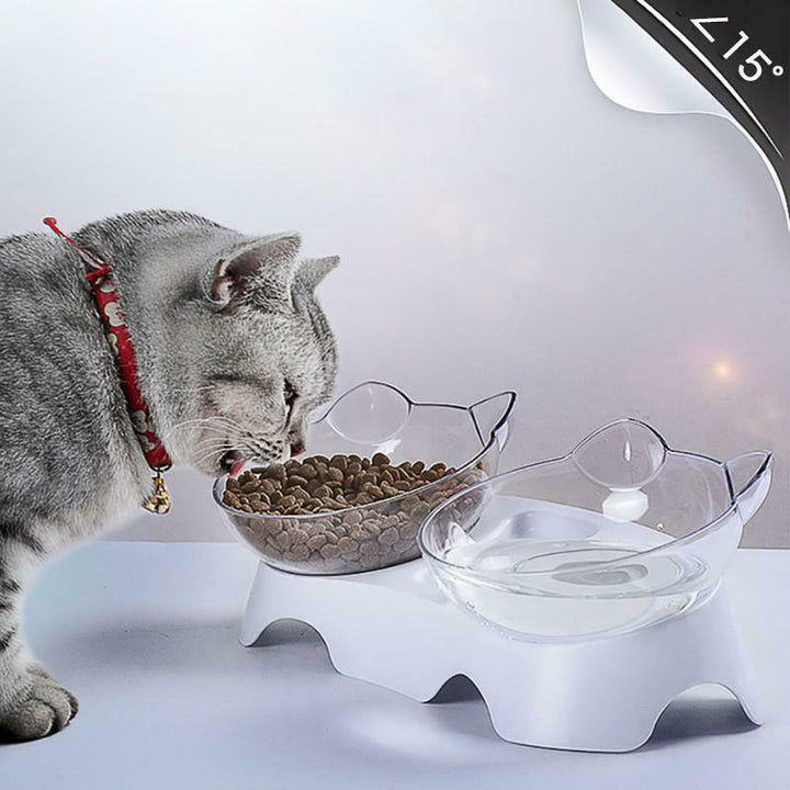 Pet Feeding Bowl Elevated Feeder