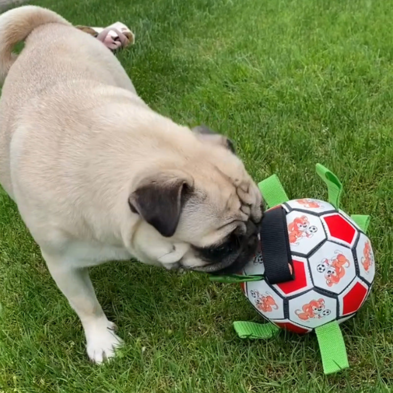 Pet Football Chew Toy Durable Bite Resistant Molar Toy