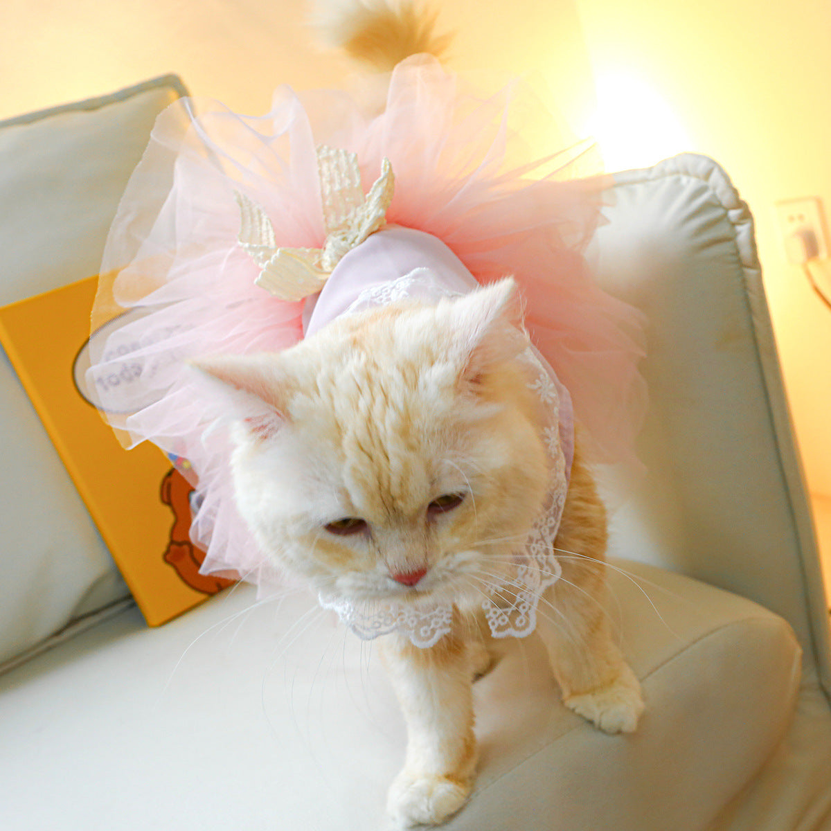 Lace Pet Clothing Elegant Outfit