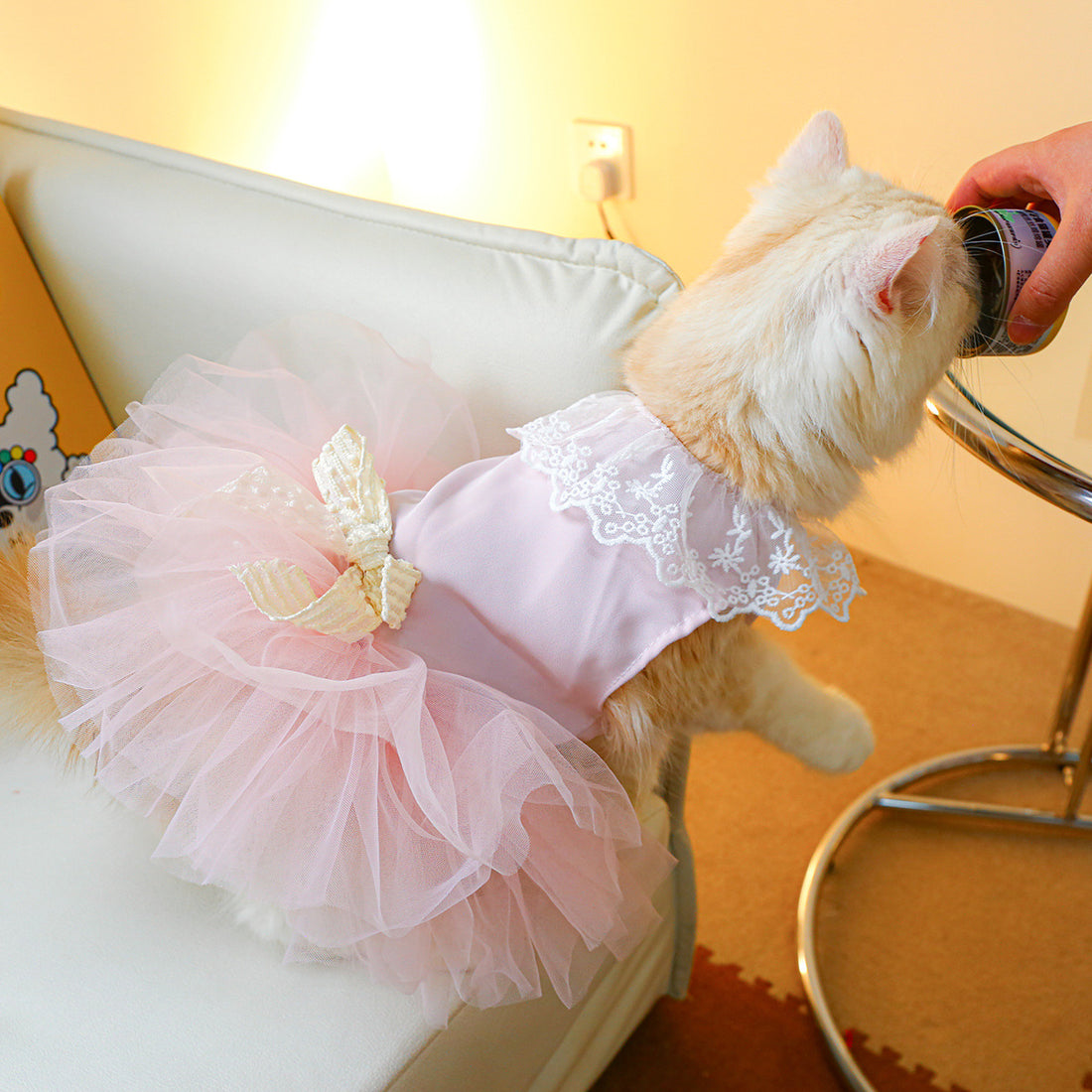 Lace Pet Clothing Elegant Outfit