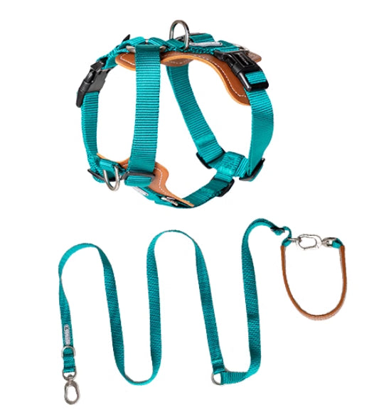 Multifunctional Explosion Proof Pet Chest Strap Rope Leash