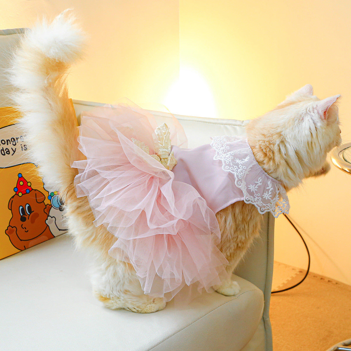 Lace Pet Clothing Elegant Outfit