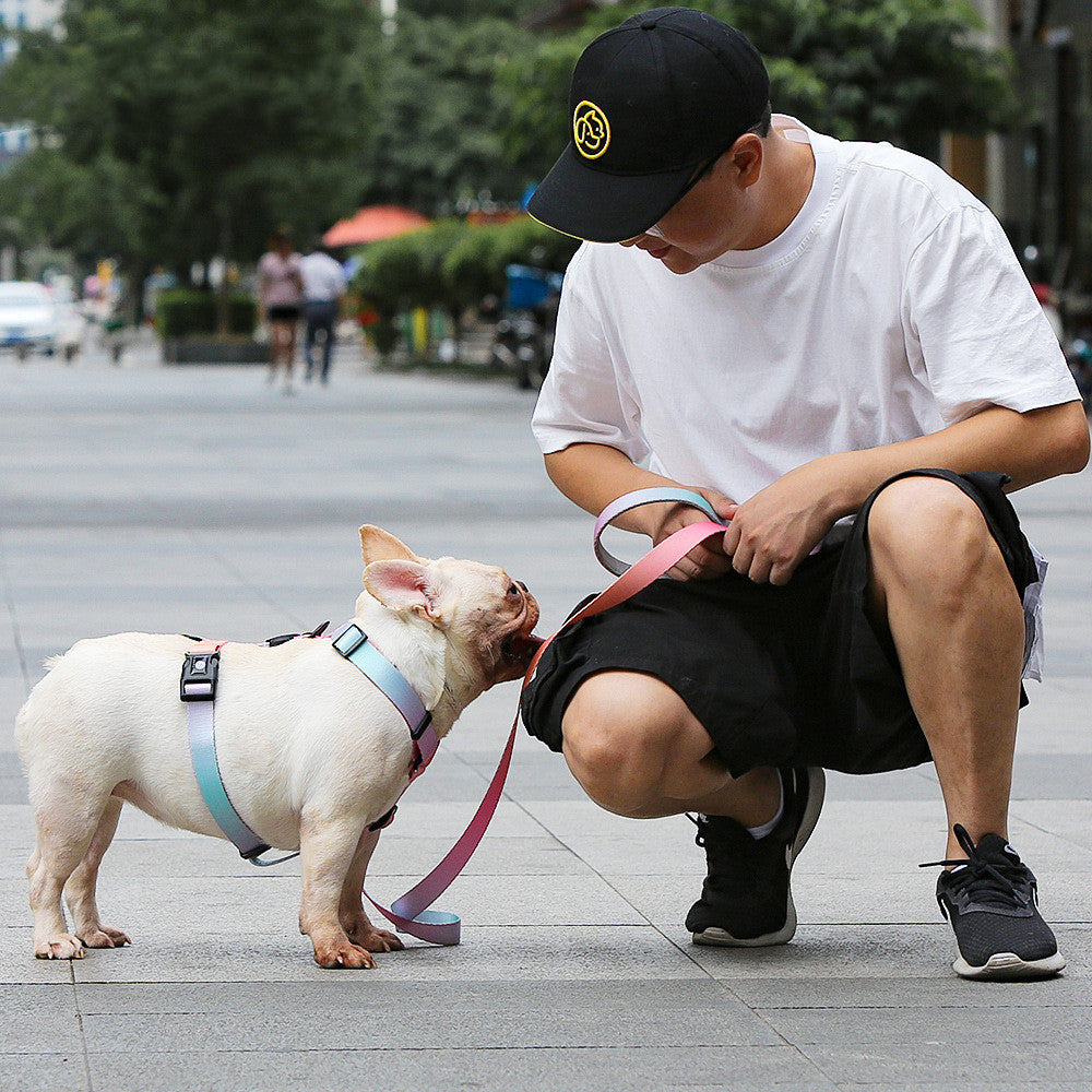 Pet Leash For Small And Medium Pets Adjustable