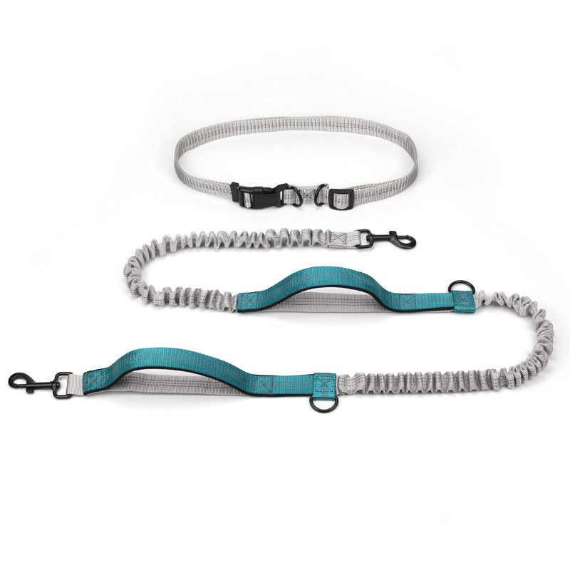 Multifunctional Reflective Double Telescopic Pet Running Leash Rope Lead