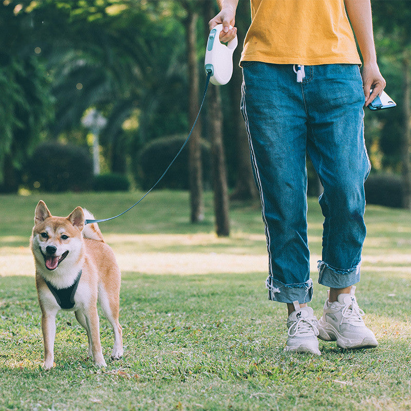 Pet Retractable Leash For Small Medium Large Pets