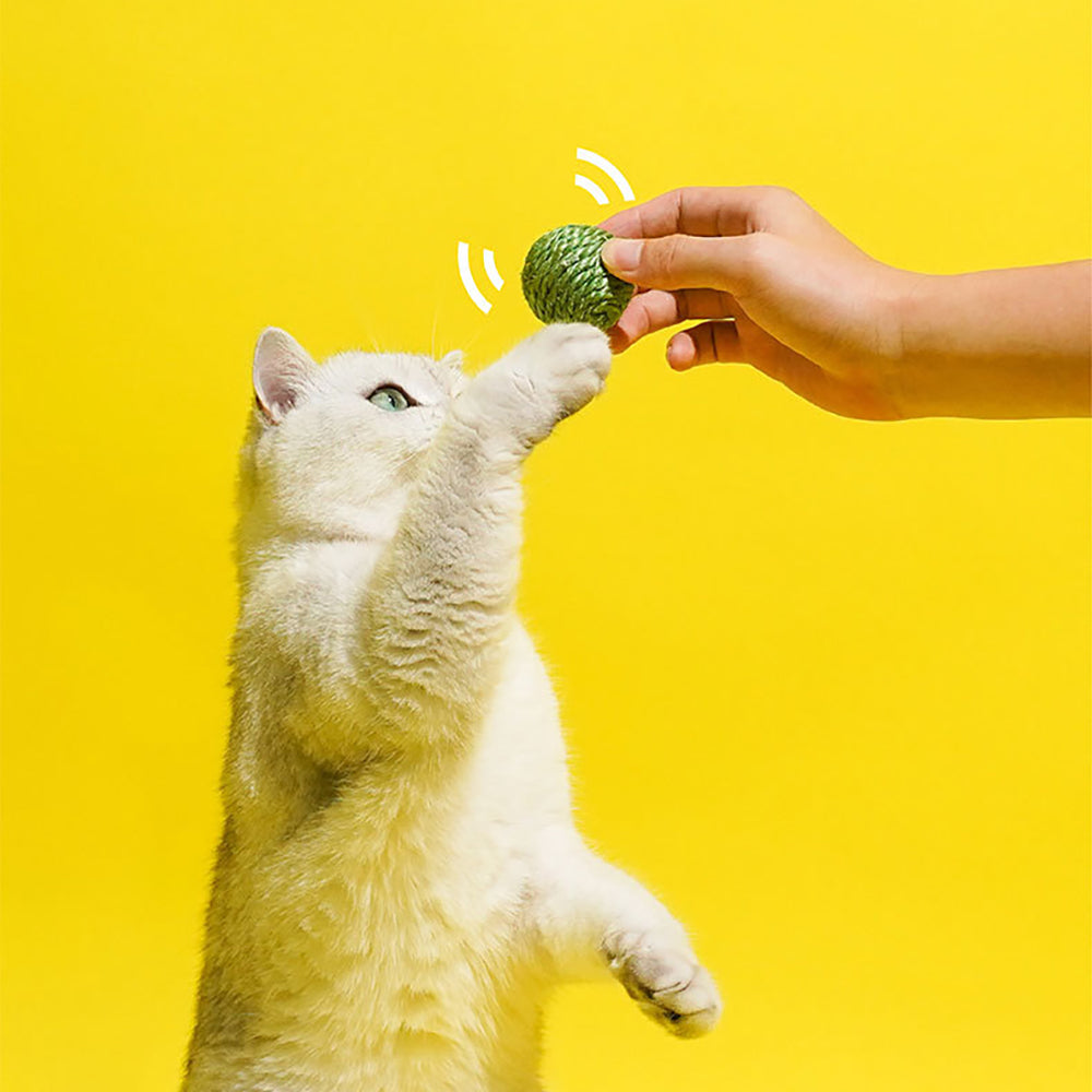 Pet Interactive Sisal Rope Chew Ball Toy Set With Sound