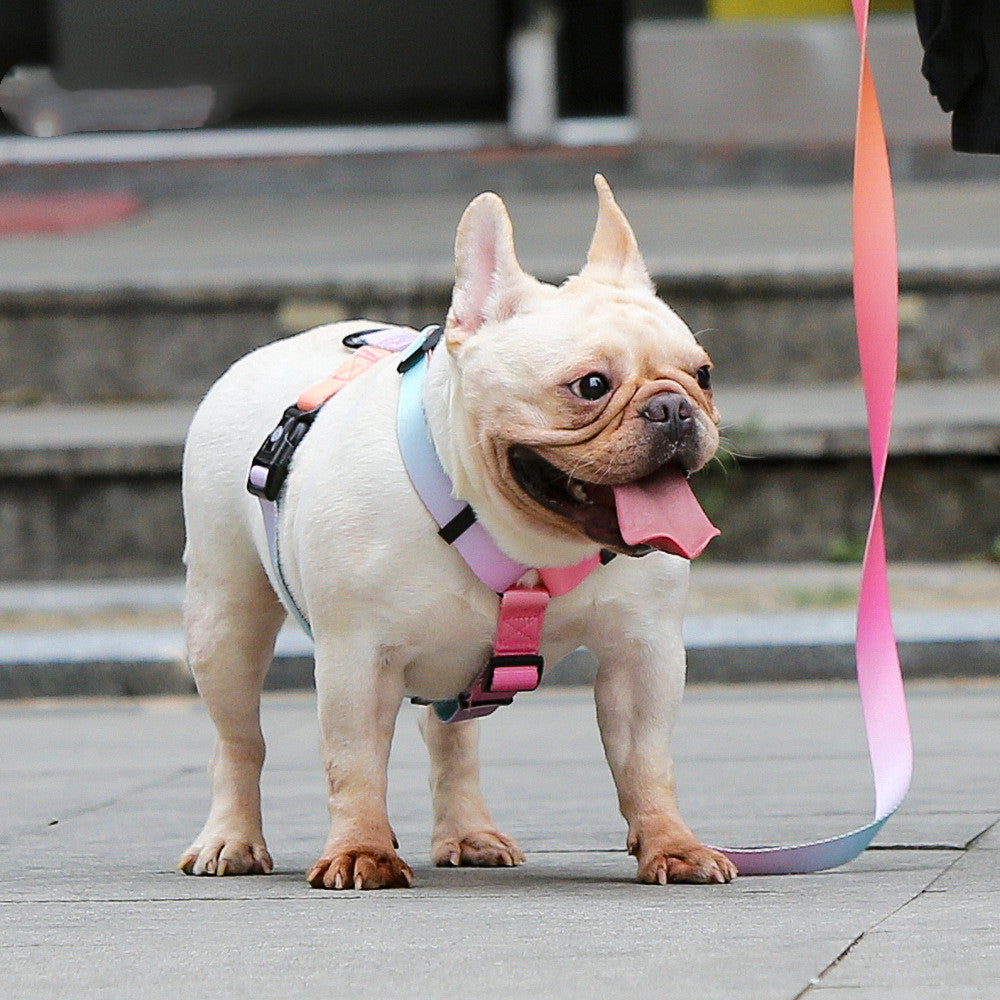 Pet Leash For Small And Medium Pets Adjustable