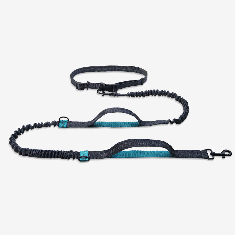 Multifunctional Reflective Double Telescopic Pet Running Leash Rope Lead