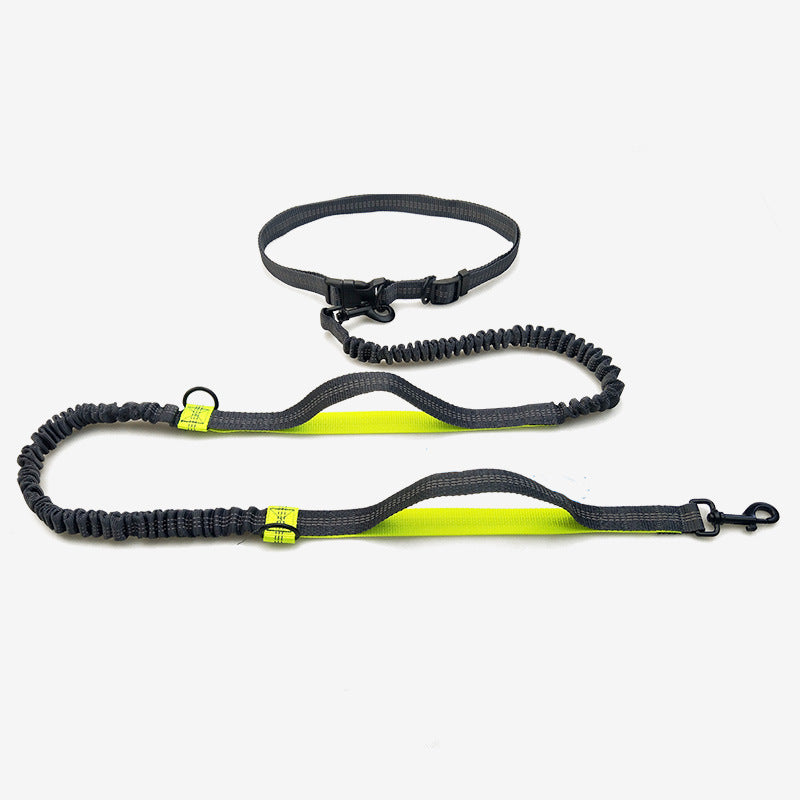 Multifunctional Reflective Double Telescopic Pet Running Leash Rope Lead
