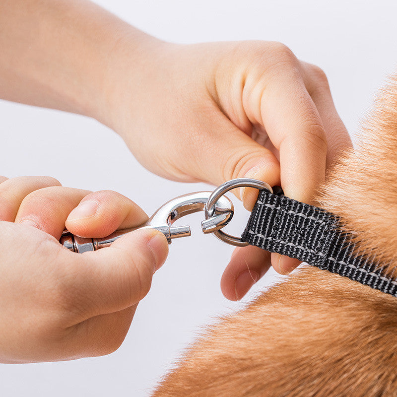 Pet Retractable Leash For Small Medium Large Pets