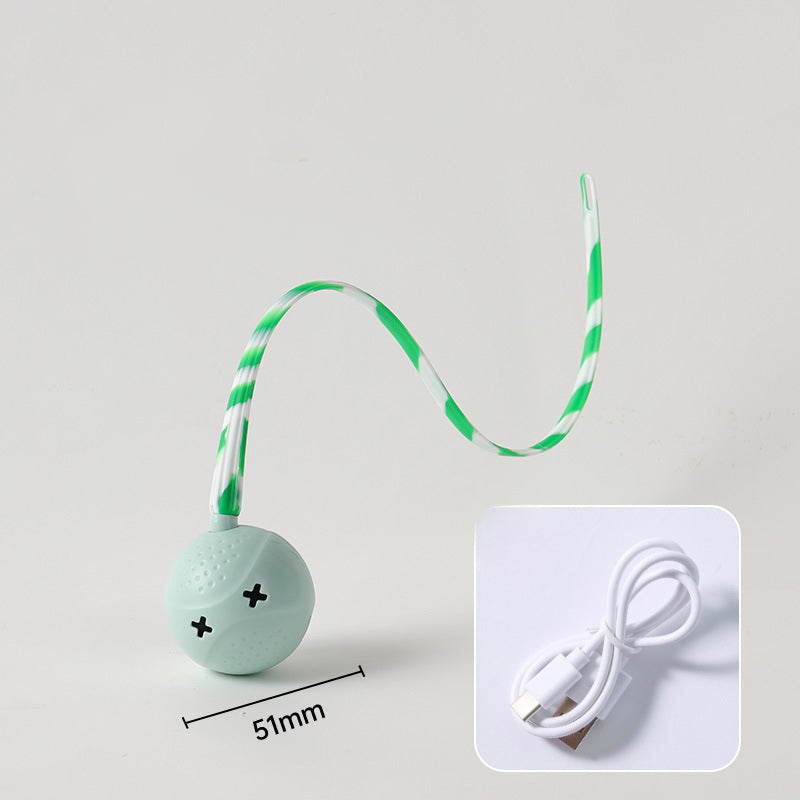 Pet Interactive Electric Motion Activated Ball Toy