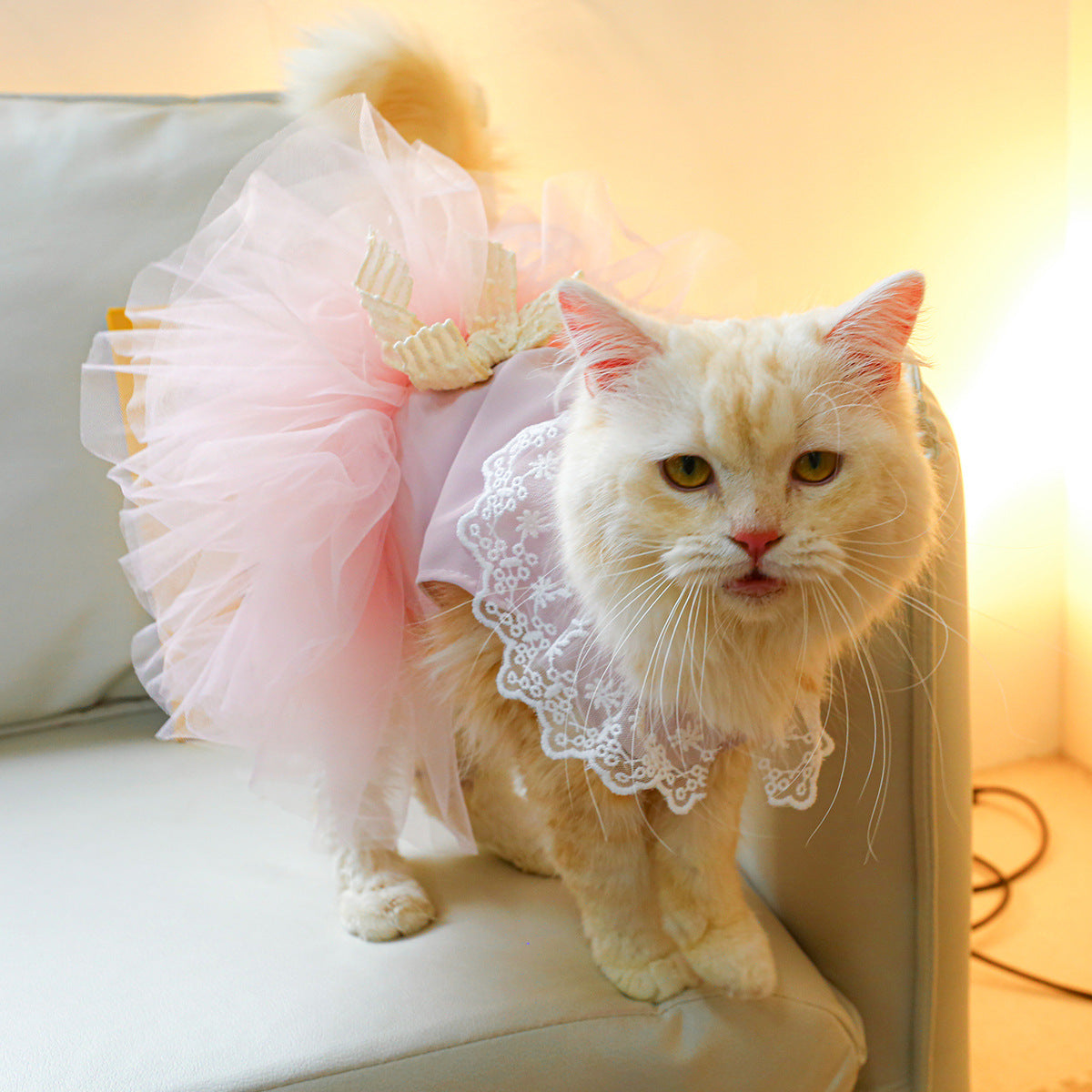 Lace Pet Clothing Elegant Outfit