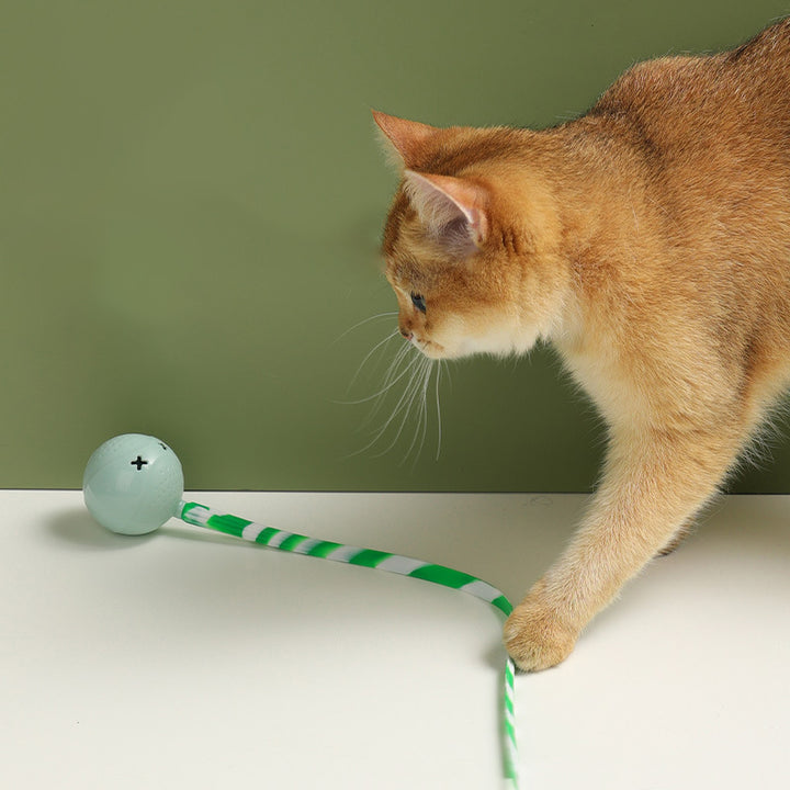 Pet Interactive Electric Motion Activated Ball Toy