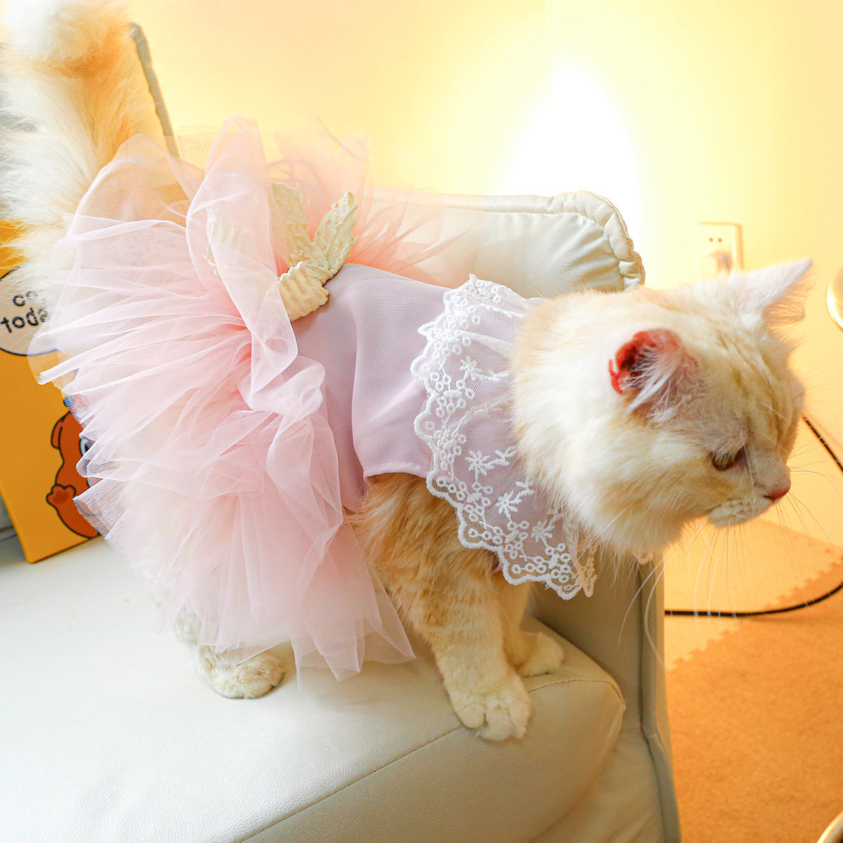 Lace Pet Clothing Elegant Outfit