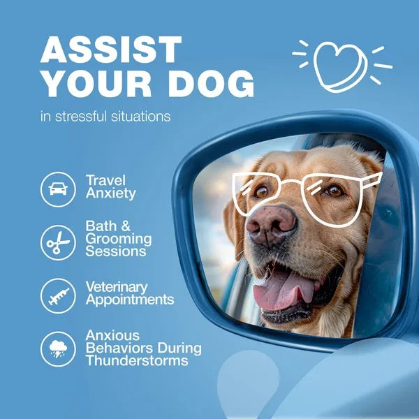 Hemp Calming Chews Anxiety Relief Treats