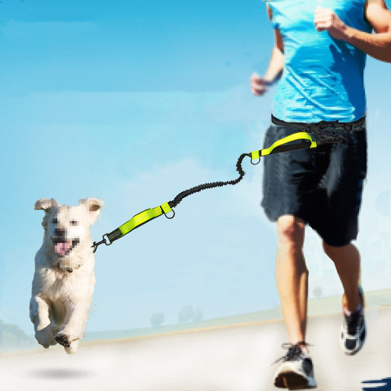 Multifunctional Reflective Double Telescopic Pet Running Leash Rope Lead