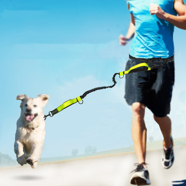 Multifunctional Reflective Double Telescopic Pet Running Leash Rope Lead