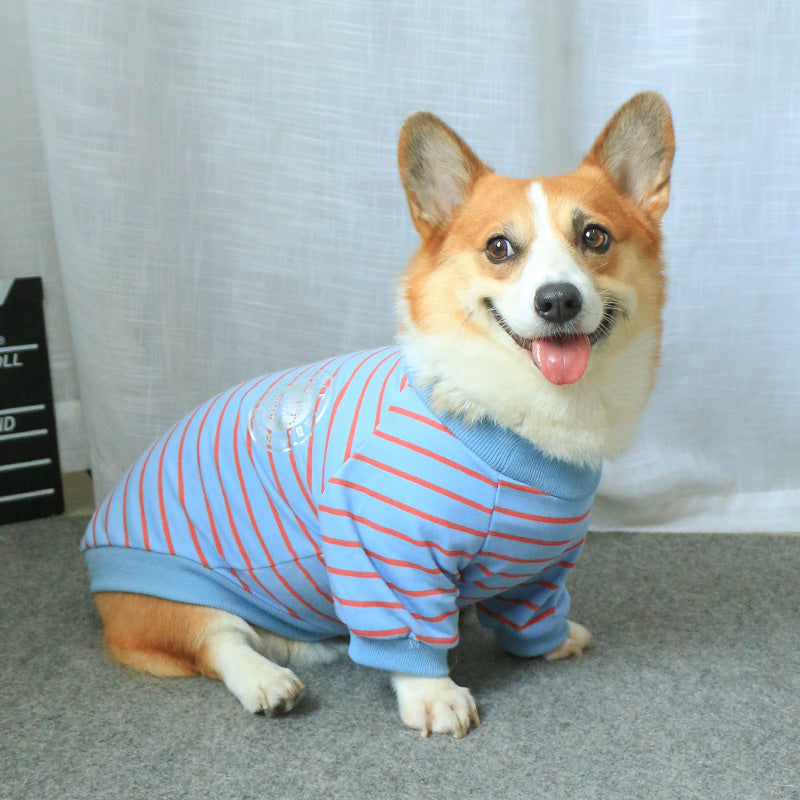 New Pet Owner Parent Child Matching Sweater Wear