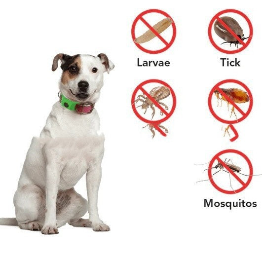Flea And Tick Control Repellent Collar For Pets
