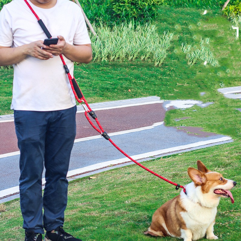Pet Traction Rope Running Diagonal Span Leash System