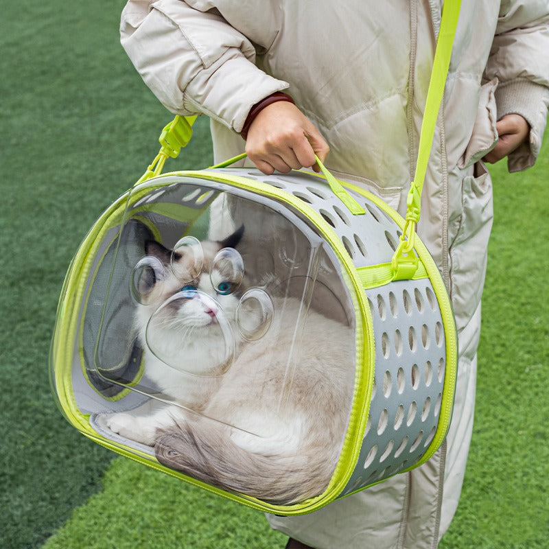 Transparent Space Capsule Pet Backpack Carrier