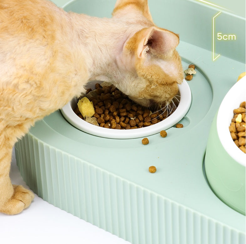 Ceramic Pet Feeding Bowl Cervical Spine Support Design